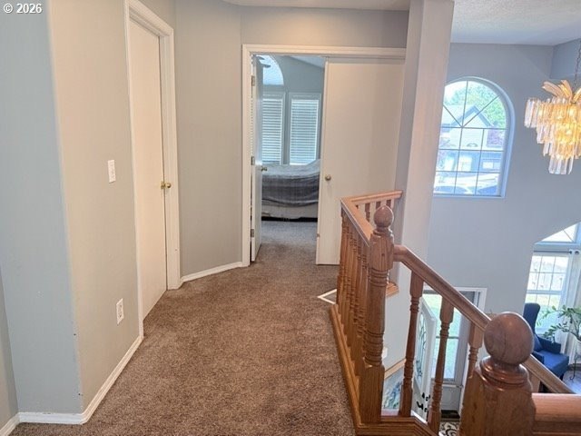 Welcome to this dream home located in a cul-de-sac on a 1/3 acre - photo 18