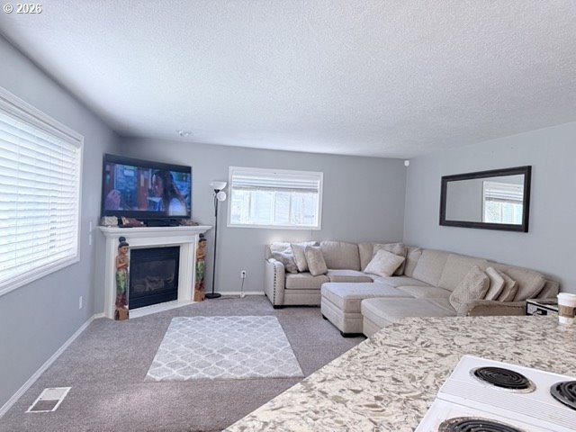 Welcome to this dream home located in a cul-de-sac on a 1/3 acre - photo 22