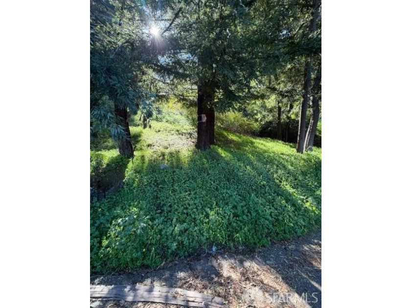 Rare development opportunity featuring 5 premium lots in the - photo 6
