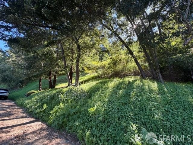 Rare development opportunity featuring 5 premium lots in the - photo 8