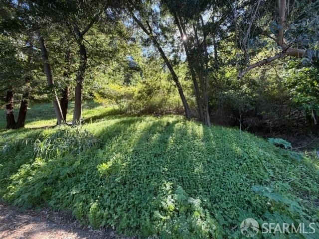 Rare development opportunity featuring 5 premium lots in the - photo 9