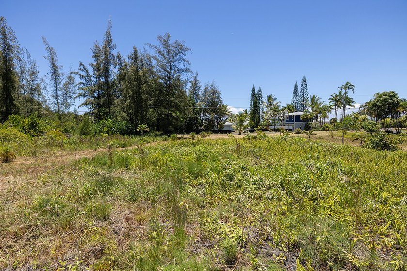 Rare opportunity to own over a half-acre of improved land just - photo 2