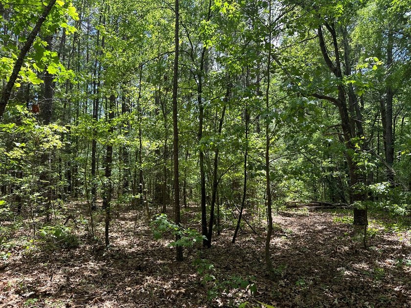 #73300-Welcome to Country Corner!! Set on 9.05 private acres in - photo 29