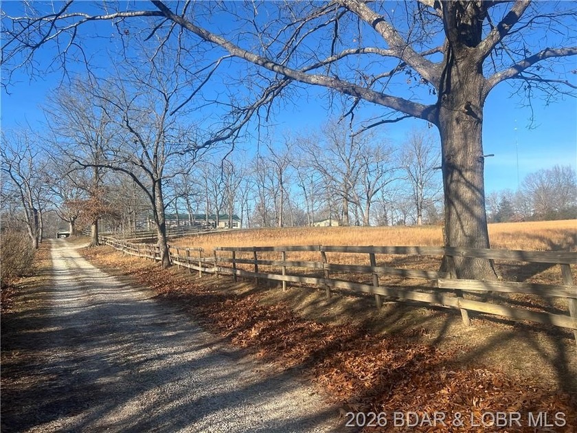 This is a beautiful setting close to town but yet private. This - photo 19