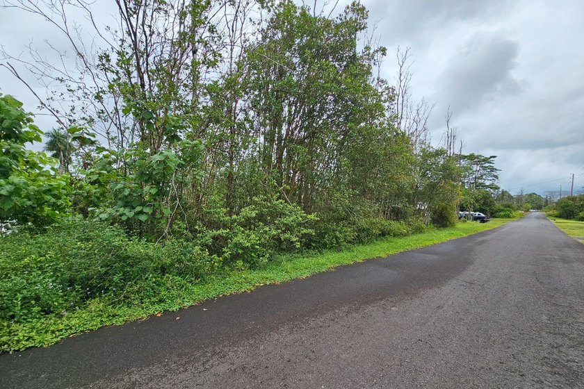 Prime Vacant Lot on Paved Road - Tiki Gardens This 8,100 square - photo 2