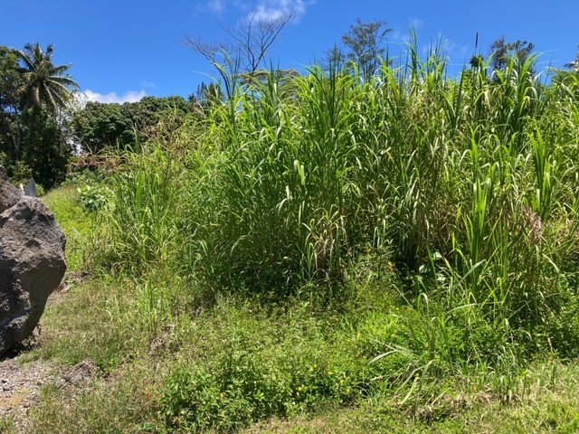 Hawaiian Parks Subdivision - check out this great lot in a - photo 3