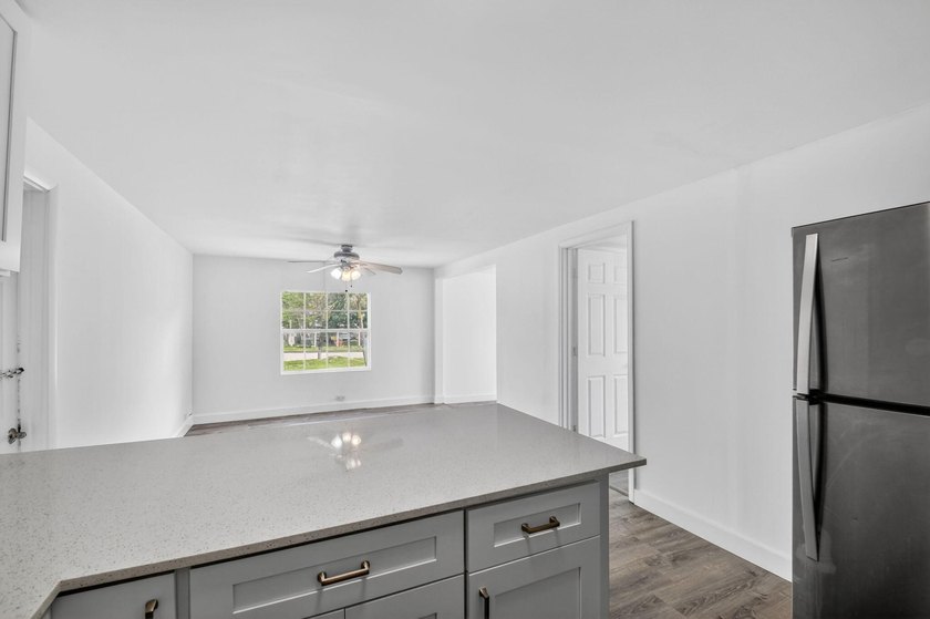 Spacious, Open and Newly Renovated 3BR /2BA home w/ contemporary - photo 10