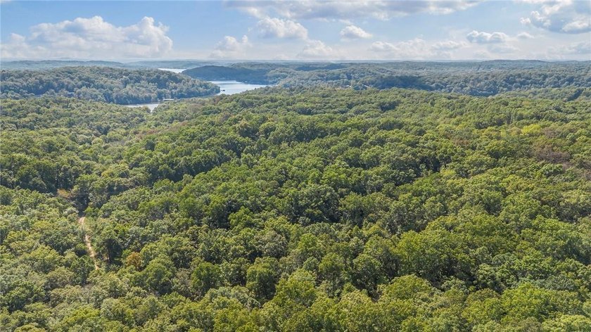 Nearly 80 acres of Lake of the Ozarks land in Gravois Mills, MO - photo 11