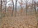 Nearly 80 acres of Lake of the Ozarks land in Gravois Mills, MO - photo 14