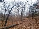 Nearly 80 acres of Lake of the Ozarks land in Gravois Mills, MO - photo 20