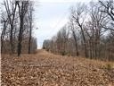Nearly 80 acres of Lake of the Ozarks land in Gravois Mills, MO - photo 23