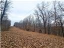 Nearly 80 acres of Lake of the Ozarks land in Gravois Mills, MO - photo 24