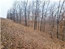 Nearly 80 acres of Lake of the Ozarks land in Gravois Mills, MO - photo 28