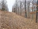 Nearly 80 acres of Lake of the Ozarks land in Gravois Mills, MO - photo 29