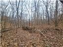 Nearly 80 acres of Lake of the Ozarks land in Gravois Mills, MO - photo 32