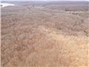 Nearly 80 acres of Lake of the Ozarks land in Gravois Mills, MO - photo 45