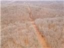 Nearly 80 acres of Lake of the Ozarks land in Gravois Mills, MO - photo 50