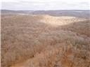 Nearly 80 acres of Lake of the Ozarks land in Gravois Mills, MO - photo 52