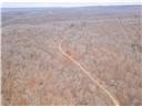 Nearly 80 acres of Lake of the Ozarks land in Gravois Mills, MO - photo 58