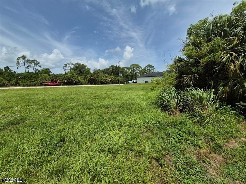 Great buildable lot in an up-and-coming neighborhood surrounded - photo 8