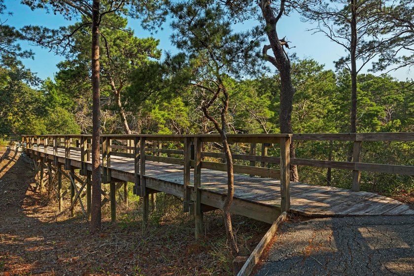 Beautiful views facing due South! Experience elevated coastal - photo 24