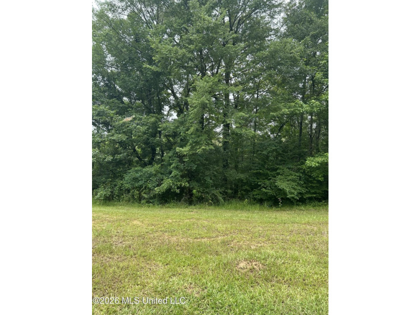 This is the one!!!! With 31 beautiful acres that is partially - photo 14