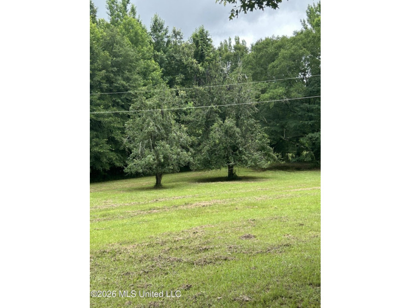 This is the one!!!! With 31 beautiful acres that is partially - photo 15