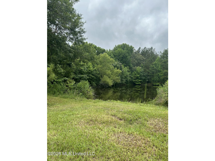 This is the one!!!! With 31 beautiful acres that is partially - photo 23