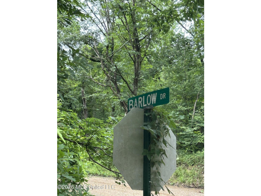 This is the one!!!! With 31 beautiful acres that is partially - photo 24