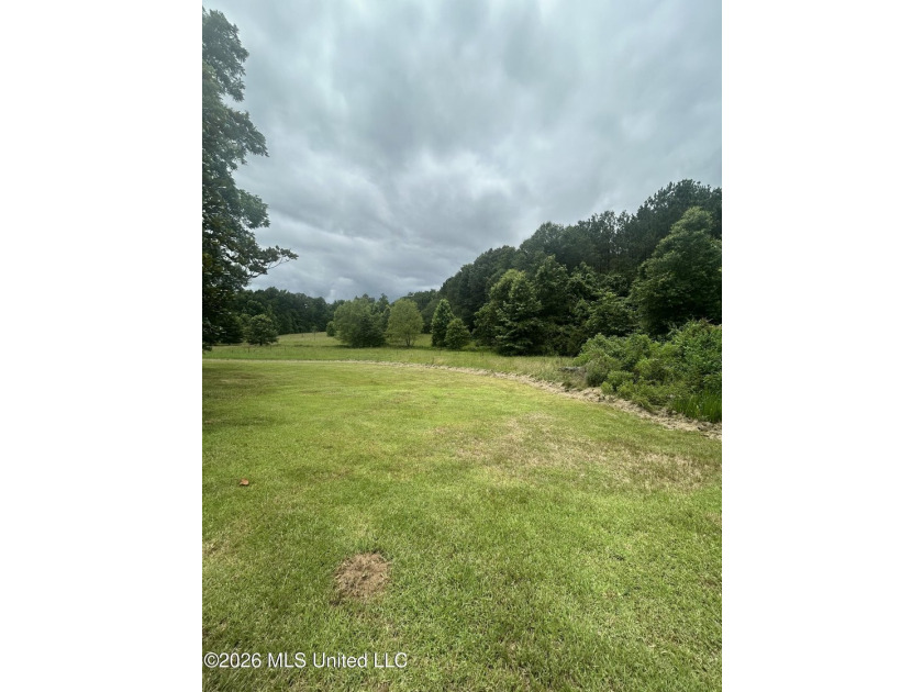This is the one!!!! With 31 beautiful acres that is partially - photo 27