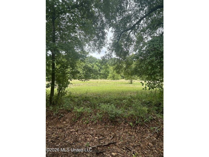 This is the one!!!! With 31 beautiful acres that is partially - photo 28
