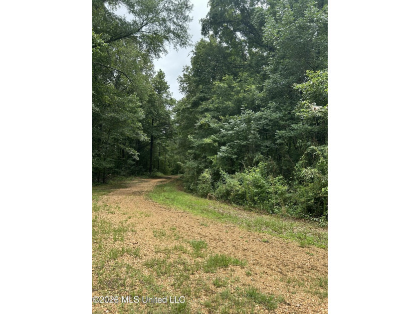 This is the one!!!! With 31 beautiful acres that is partially - photo 41