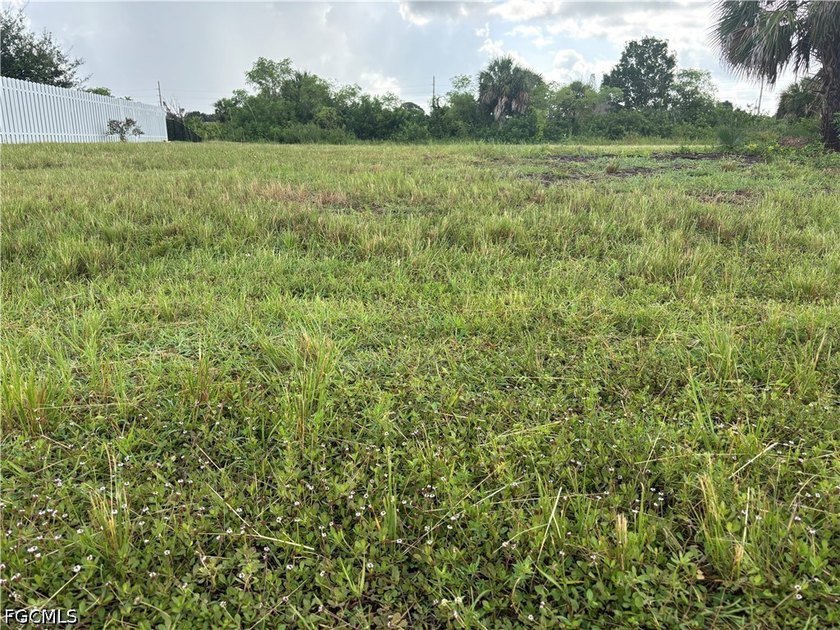 Waterfront residential lot located in north Cape Coral. HUGE - photo 3