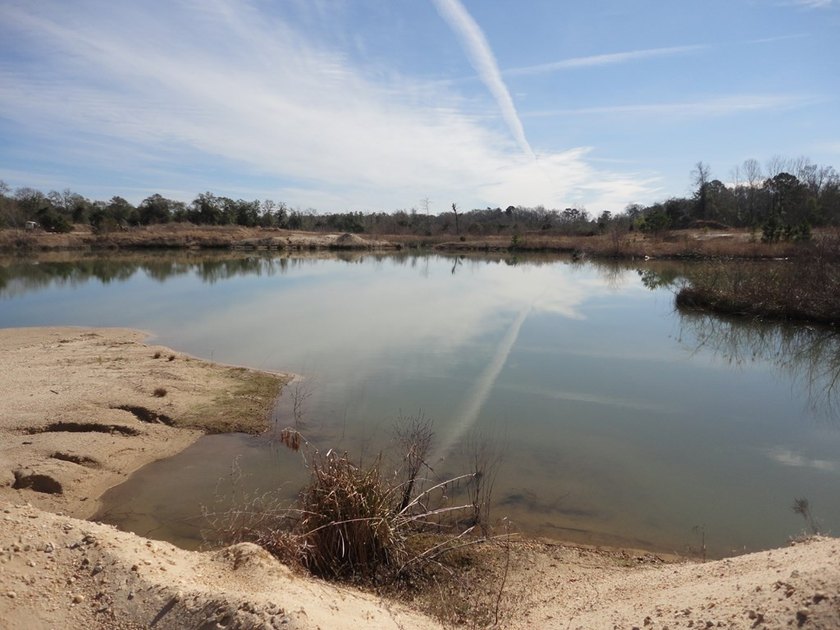The 196 acre parcel of land located at 226 Blue Lake Road Petal - photo 5
