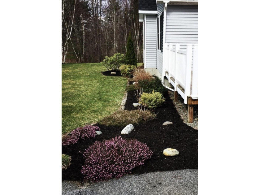 PRICE IMPROVEMENT on this lovely, single level home just 5+ - photo 4