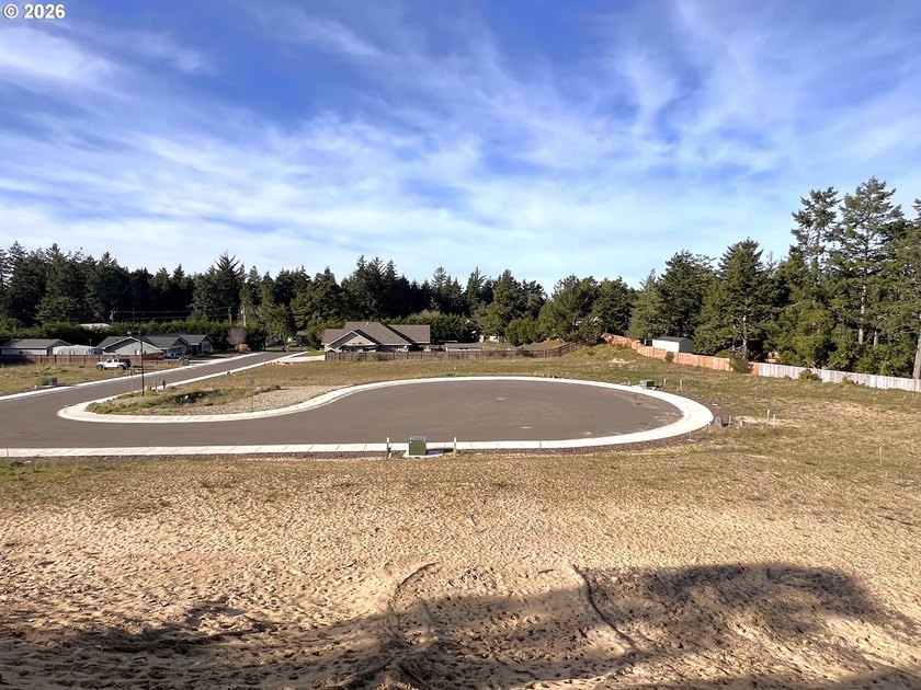 Welcome to THE LAKES, a brand-new gated community offering 15 - photo 16