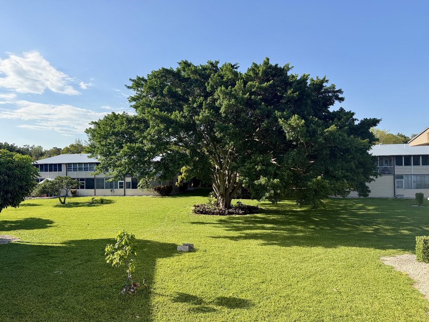 Beautifully updated furnished 1 bedroom, 1.5 bath condo located - photo 17