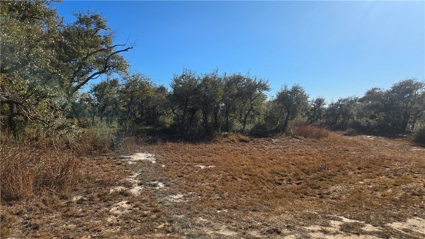 84.63 Acres close to town with 3 access points! Gated entrances - photo 11