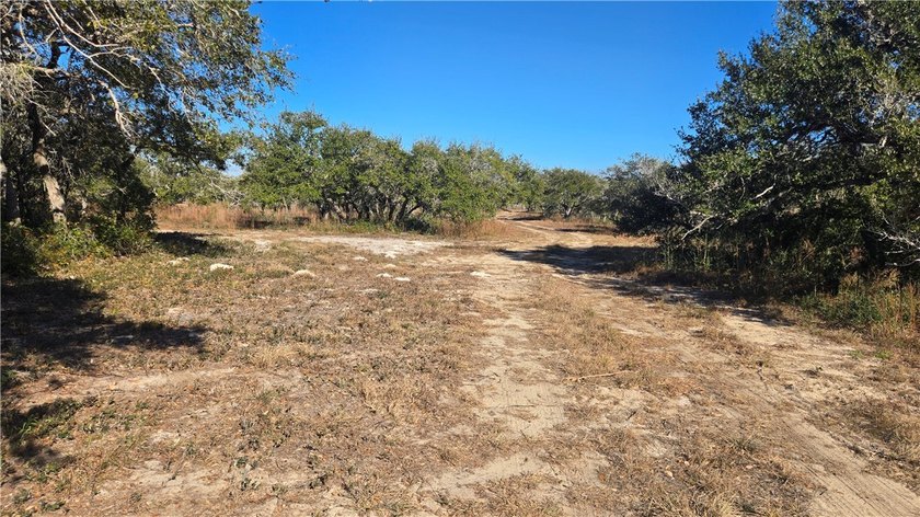 84.63 Acres close to town with 3 access points! Gated entrances - photo 12