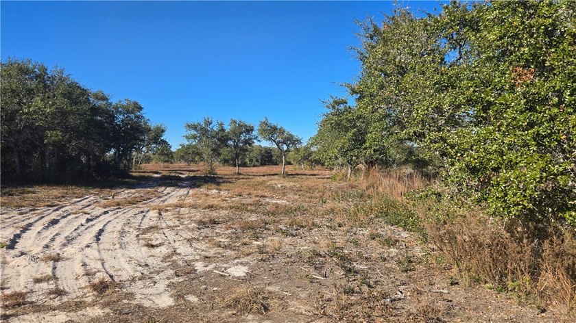 84.63 Acres close to town with 3 access points! Gated entrances - photo 13