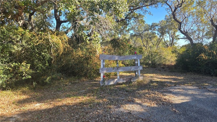 84.63 Acres close to town with 3 access points! Gated entrances - photo 14