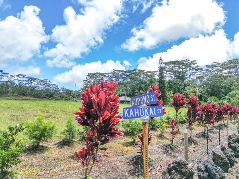 Beautiful, fully fenced 1-acre property in the peaceful Leilani - photo 4