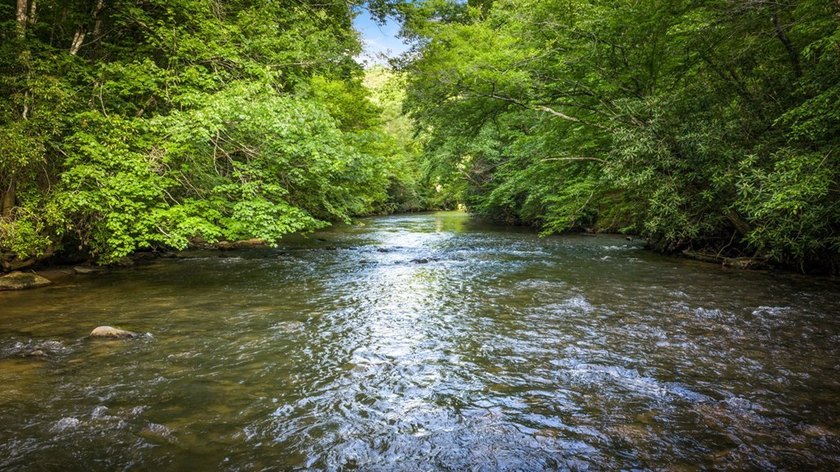 The Ultimate Creekfront Cabin Experience ~ Wake up to the sound - photo 3