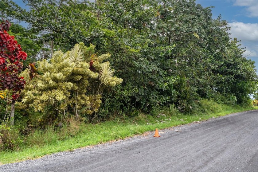 $105,000 One full acre of land located in highly desirable - photo 8