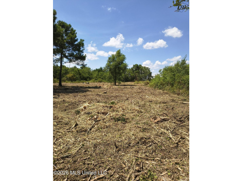 Approx .63 Acres of waterfront lot in Shoreline Park Subdivision - photo 4
