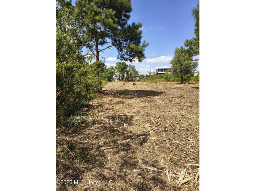 Approx .63 Acres of waterfront lot in Shoreline Park Subdivision - photo 9