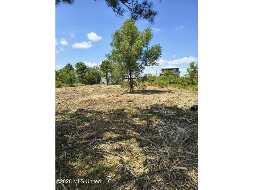 Approx .63 Acres of waterfront lot in Shoreline Park Subdivision - photo 10