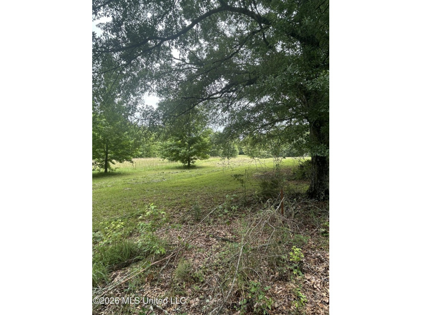 Perfect get away! 31 acres of fun for you. Hunting or fish in - photo 12