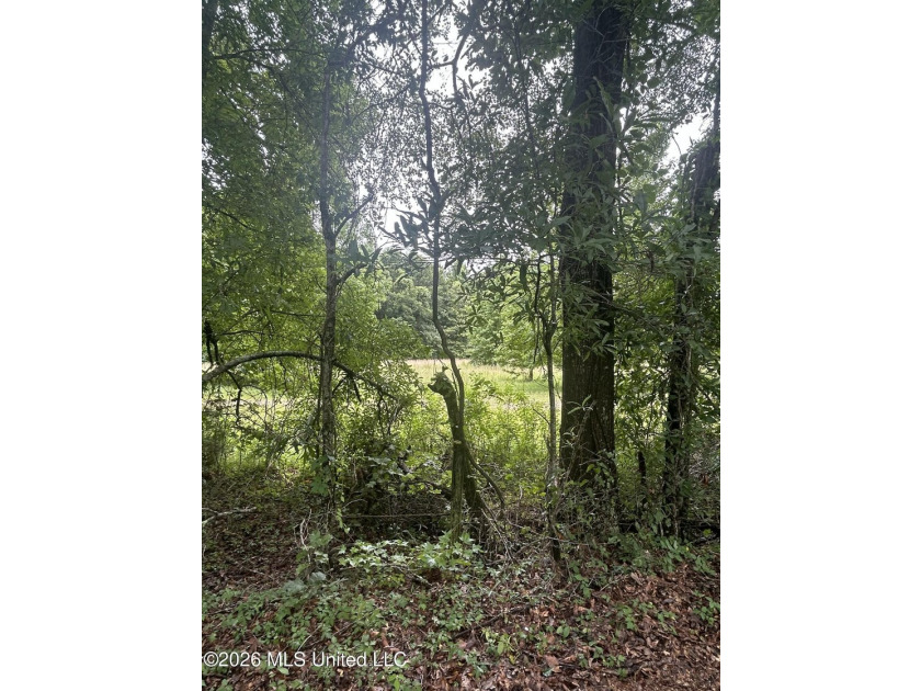Perfect get away! 31 acres of fun for you. Hunting or fish in - photo 15