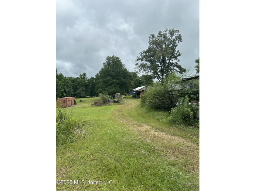 Perfect get away! 31 acres of fun for you. Hunting or fish in - photo 39